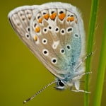 Gallery_1