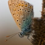 Gallery_4