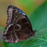 Gallery_5