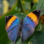 Gallery_6