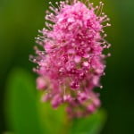 Gallery_8