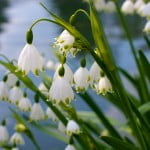 Gallery_9