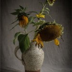 Sunset - Vicki Walton