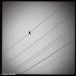 Open – Lonely Life by Steven Beckett