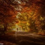 An Autumnal Bike Ride by Dawn Cave