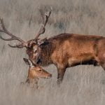 She's Mine Now by Chenxi Ni