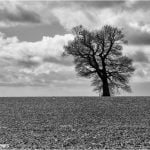 All Natural Texture by Chris Andrews