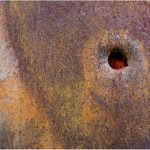 The Oil Drum by Peter Carter