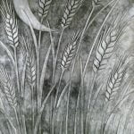Abstract Images 0 Cornfield with a Difference Derek Green