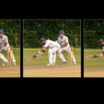 Cricket Action © David Gibbs