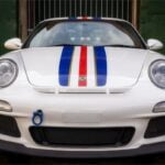 Chris Andrews-Caged Animal