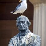 Derek Green-Well Isn't Life Just Worth Living !