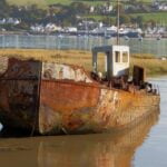 In Need of Some TLC-Mike Ward