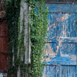 John McMahon-Old Doors