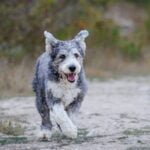 Wait for Me-Brian Worley