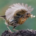 Parenting Duty_Peter Carter