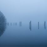 Lynn Day-Dawn at Derwent