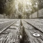 Steve Allsop-Worms Perspective-Worm's eye view low viewpoint