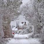 3rd_Damon Mitchell_The Whiteout