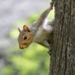 5th_Tami Nunley_Watching You.