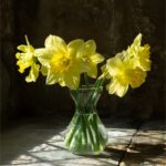 20_Miriam Comber_New season