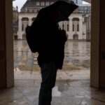 Sheltering. Tami Nunley