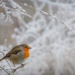 18_Brian Worley_Territory for one