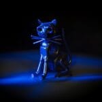 Blue Cat