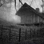 Derek Green_THE HAUNTED WOODS