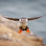 Martin Hommel_5-IMG_0117