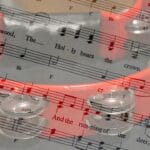 untitled shoot-4010016 1