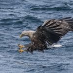 19_Lynn Day_Out for the kill