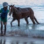 Christine D'Netto_Waters Edge