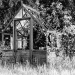 Kathy Chantler_Abandoned Greenhouse