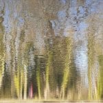 Carol Haines_Reflections and Ripples