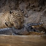 Lynn Day_In at the kill