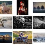 CACC Championship Day – PDI competition results