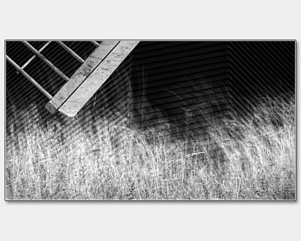 Wind Driven Grasses afphoto