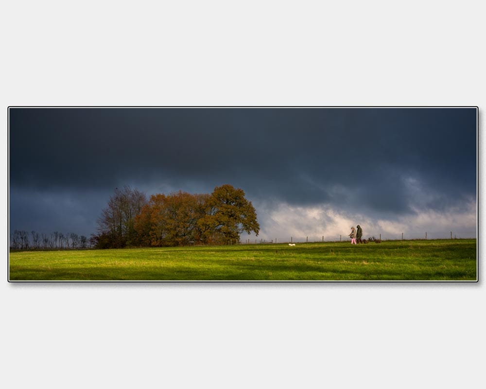 Stuart Craig - Sunshine and Showers, the forecast said