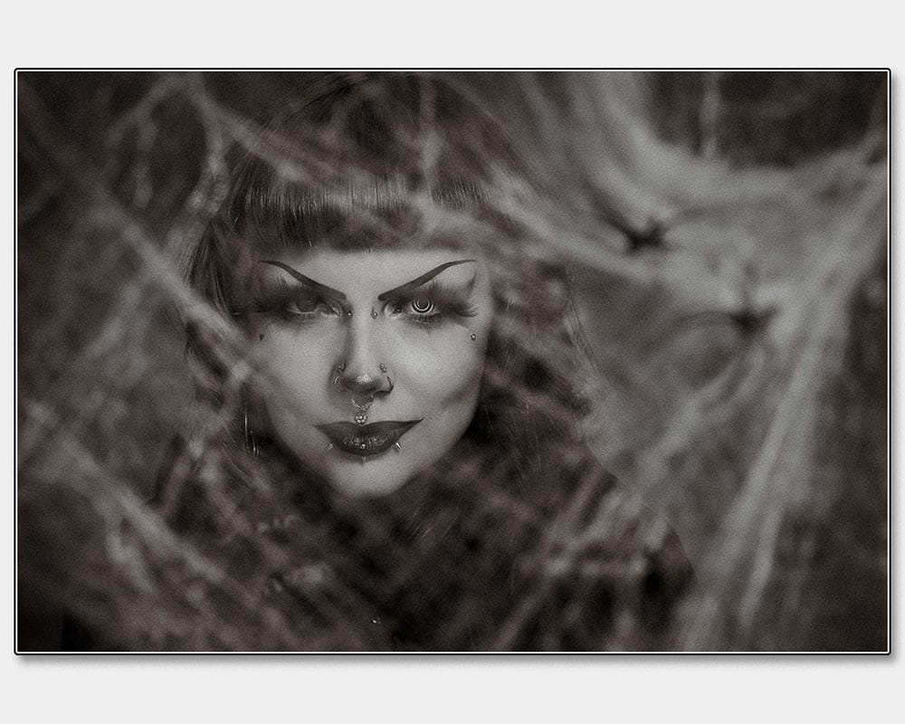 20_Brian Worley_Through the Spider Web