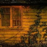 Brian Worley_The Last Rays Of Sunset