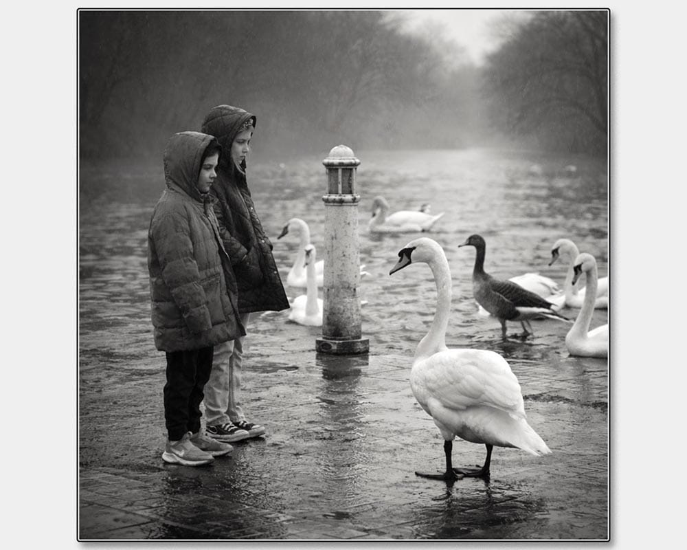 Damon Mitchell_Silent Encounter