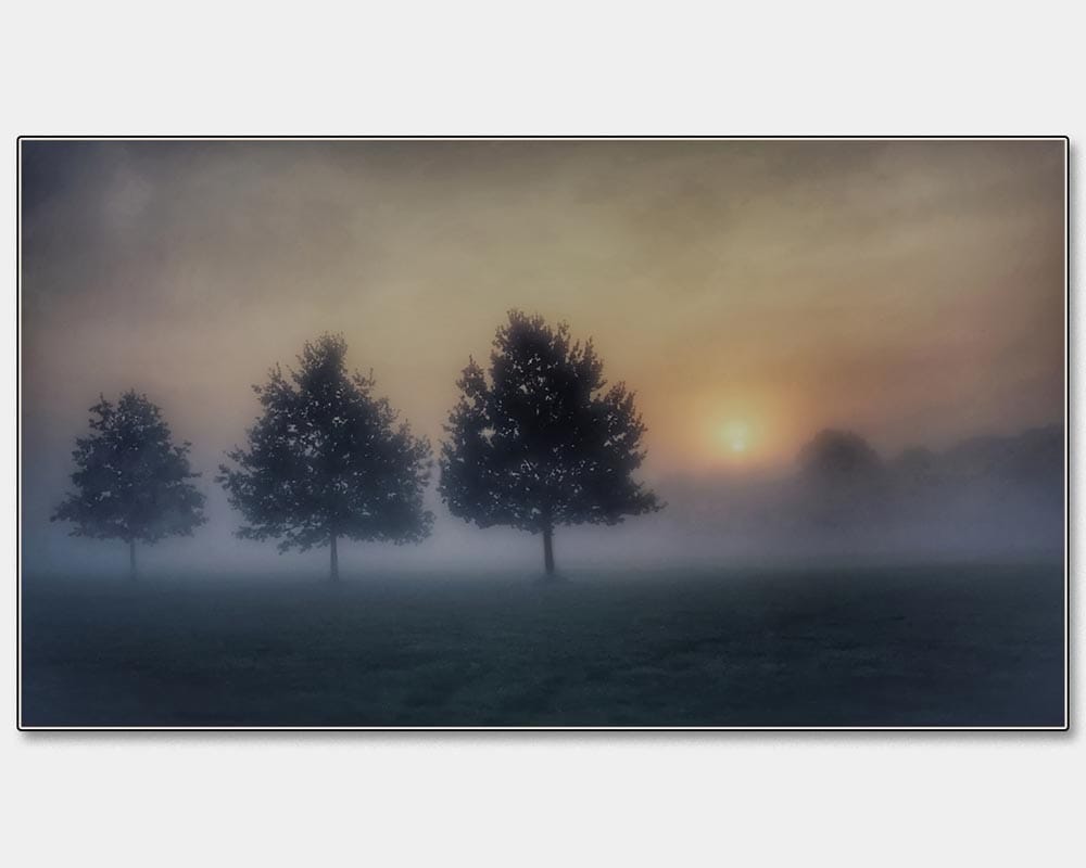 David Jones_Burning Off The Mist