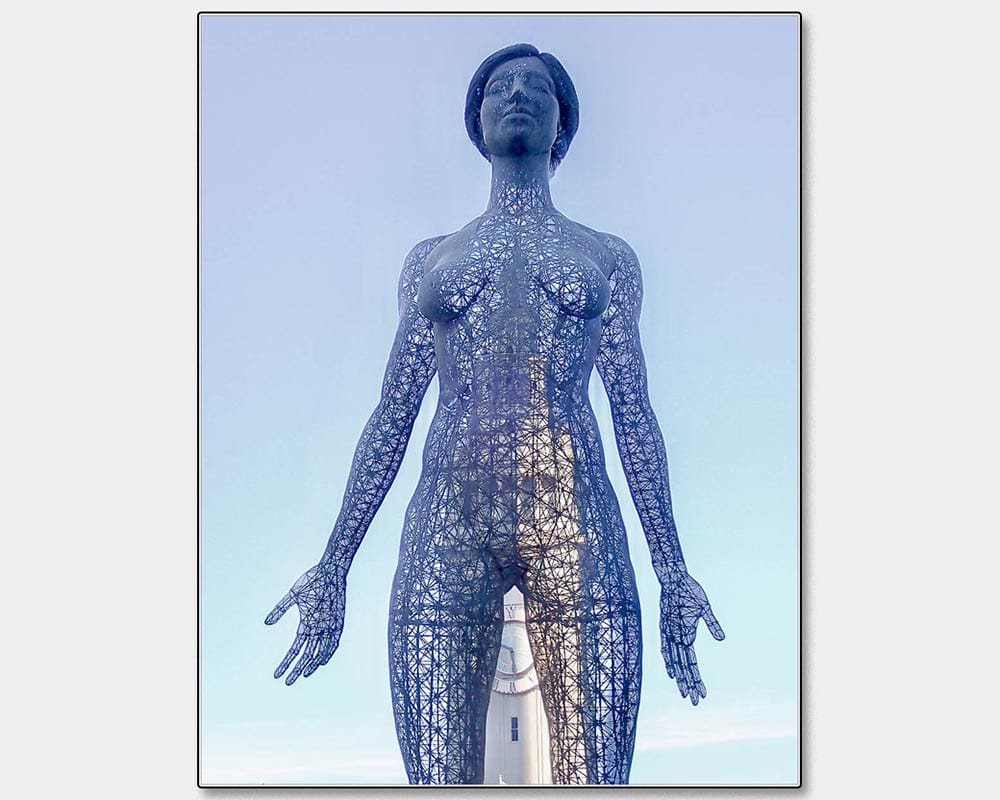 Highly Commended_Christine D'Netto_See Through Giant