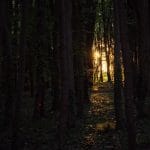 Steve Allsop_Dusk