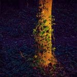Steve Allsop_Glowing