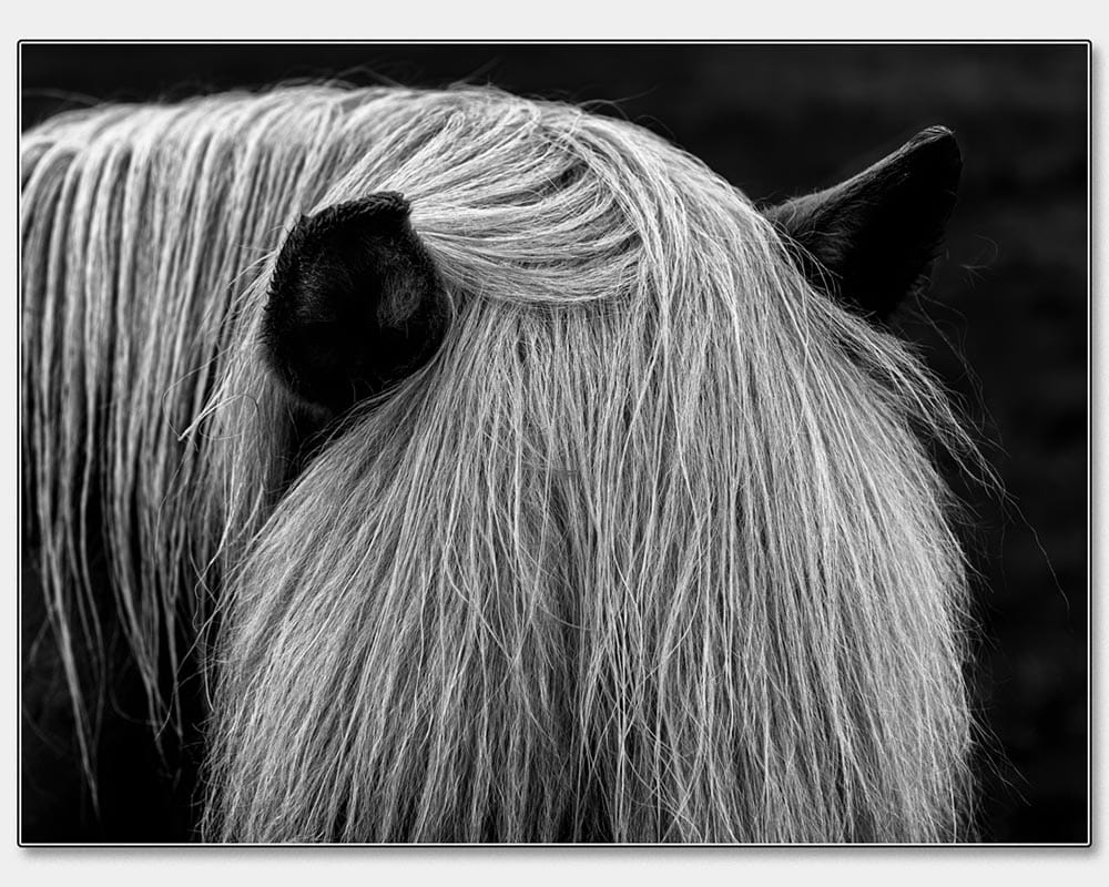 Stuart Craig_Bad Hair Day