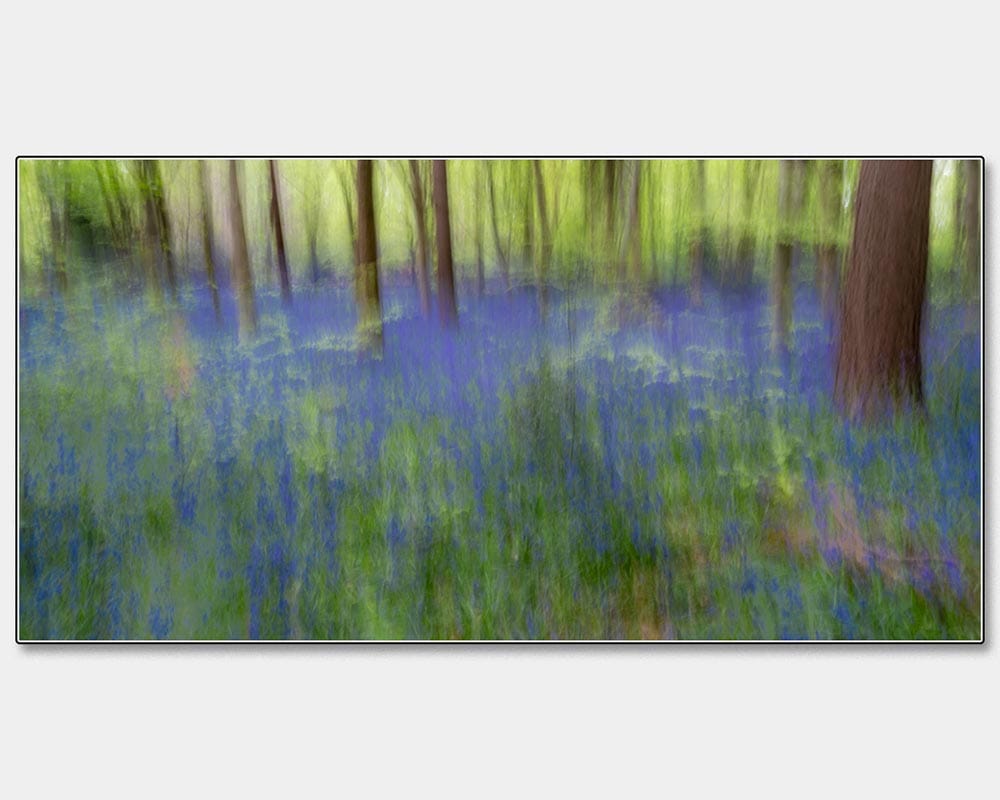 Stuart Craig_Bluebell Wood