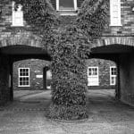 David Jones_M is for multiple arches