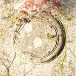 David Jones_O for circle